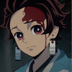 Demon Slayer  Kimetsu no Yaiba Tanjirou Kamado Earrings